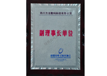 成都電子商務協(xié)會銅牌
